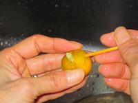 20091229-1.jpg