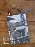 20110110-9.jpg