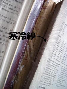 20130608-3.jpg