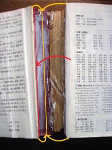 20130608-4.jpg