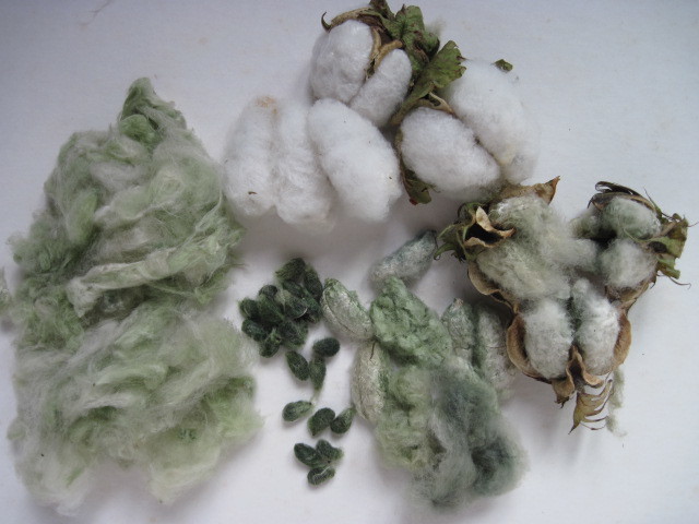 綿を紡いで どんぐり人形 手作り大好き つくつく坊や